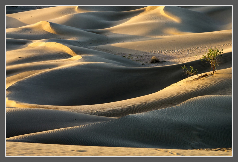 Deserto Deserto