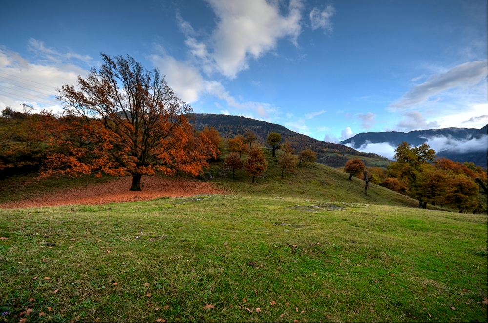 l'autunno e i suoi colori_1