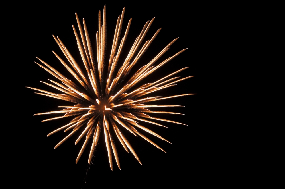 Fiore artificiale!!! Fiore artificiale!!!