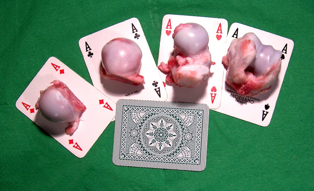 Poker d'ossi