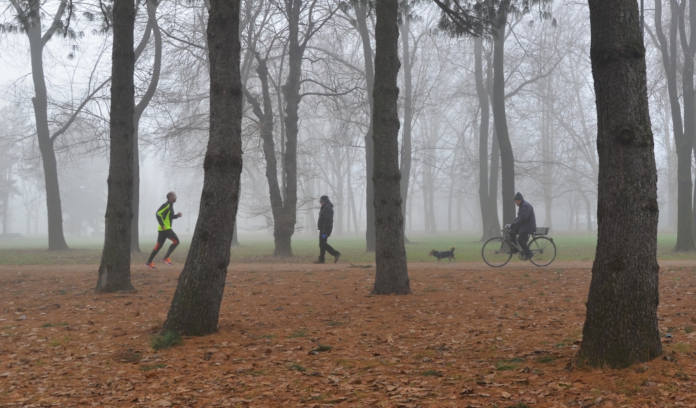 tutti al parco...