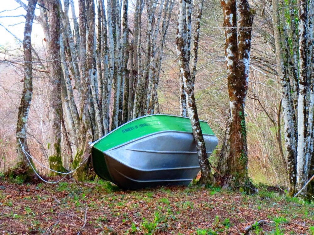 La barca nel bosco