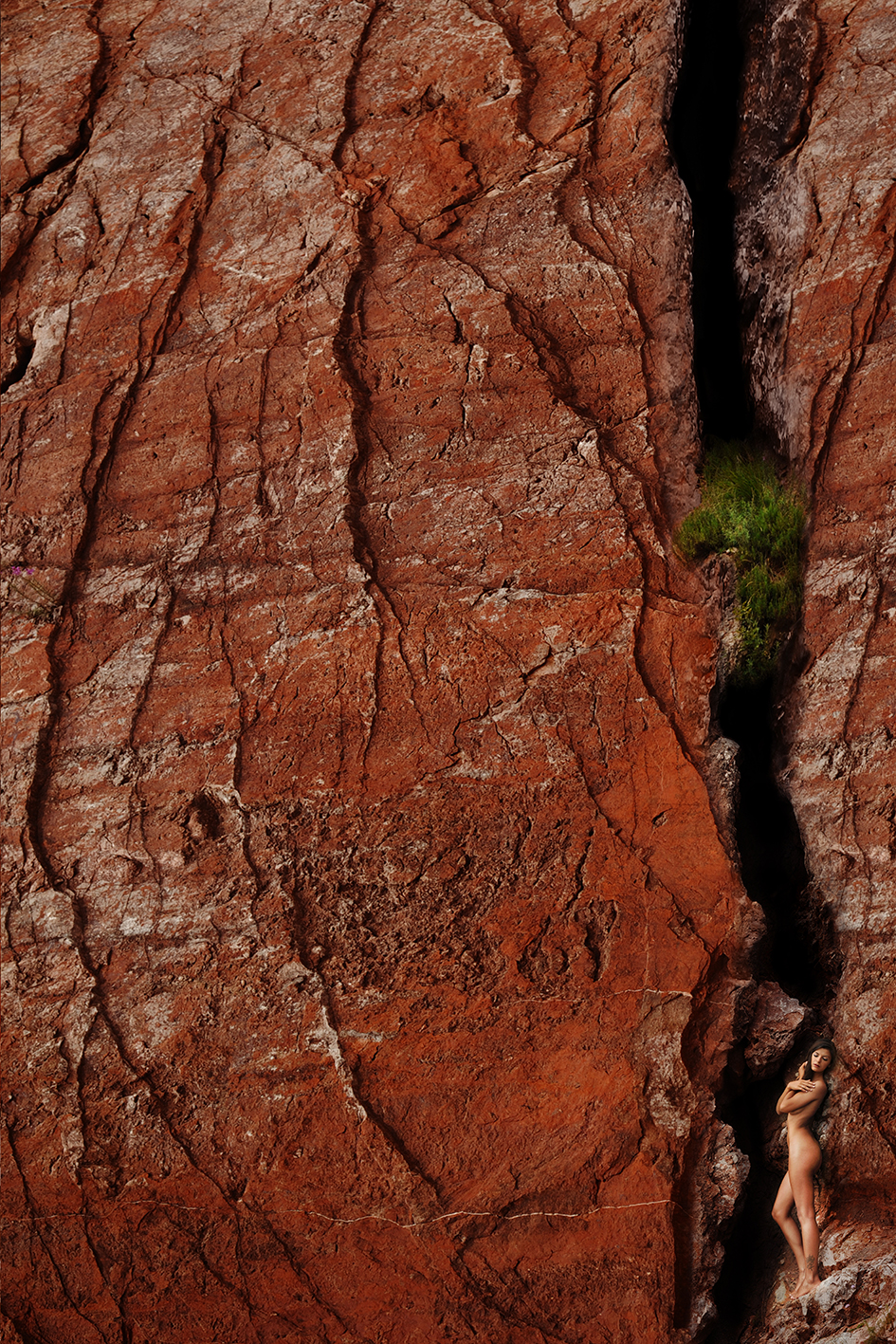 The rock