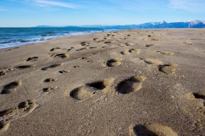 Spiaggia