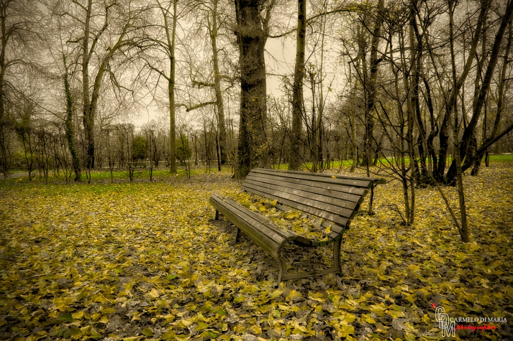 the silent place the silent place