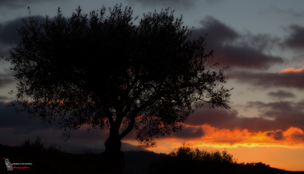 fire on the sky fire on the sky