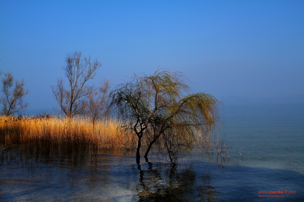 SIRMIONE 1 SIRMIONE 1