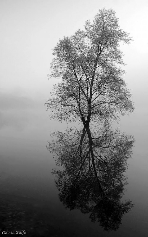 Reflet Reflet