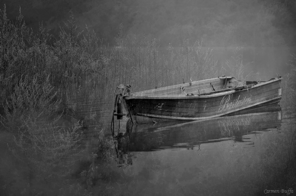 La solitaria La solitaria