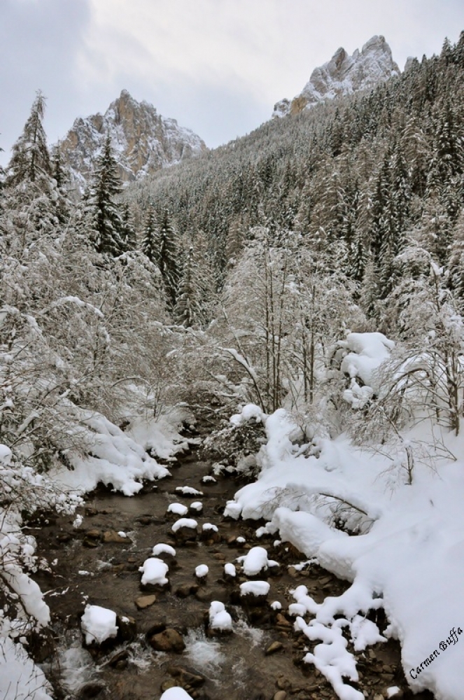 Scorcio alpino Scorcio alpino