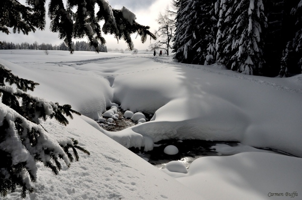 Una passeggiata tra la neve 