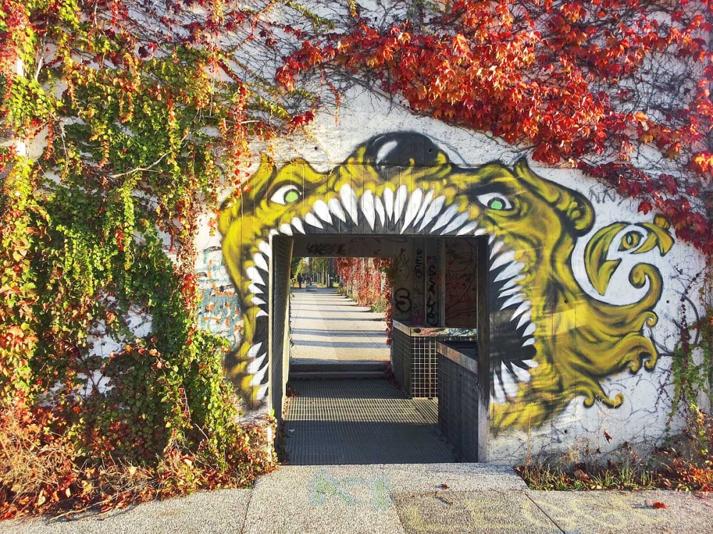 Autunno tra i graffiti del Parco Albanese (Mestre)