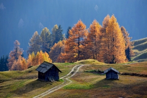 Luci e colori d'autunno