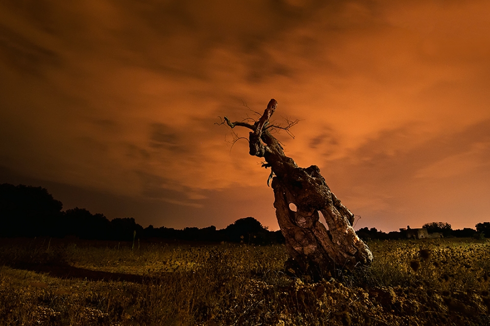 Notte all'inferno Notte all'inferno