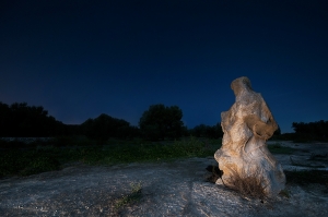 Il guardiano della notte