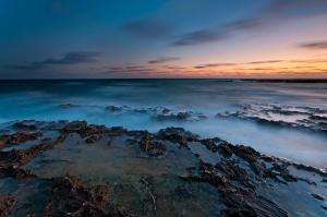 flickr