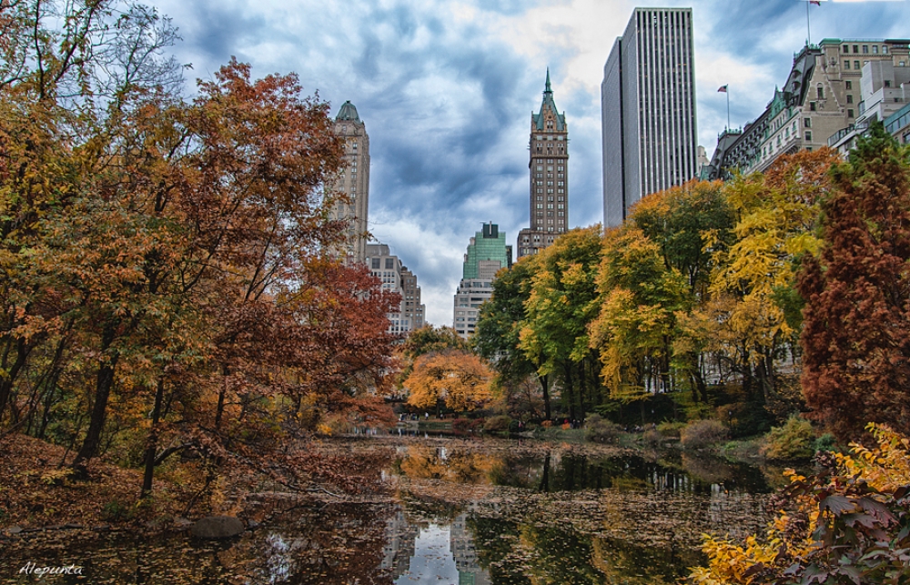 Autumn in New York