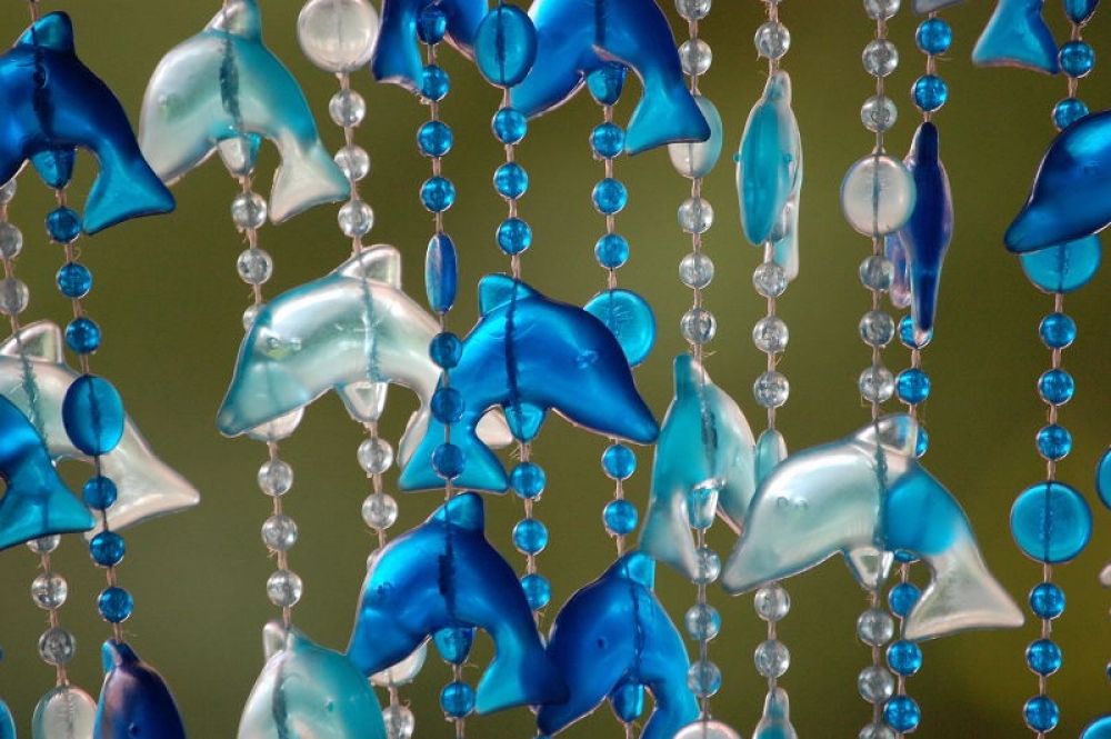 dolphin dolphin