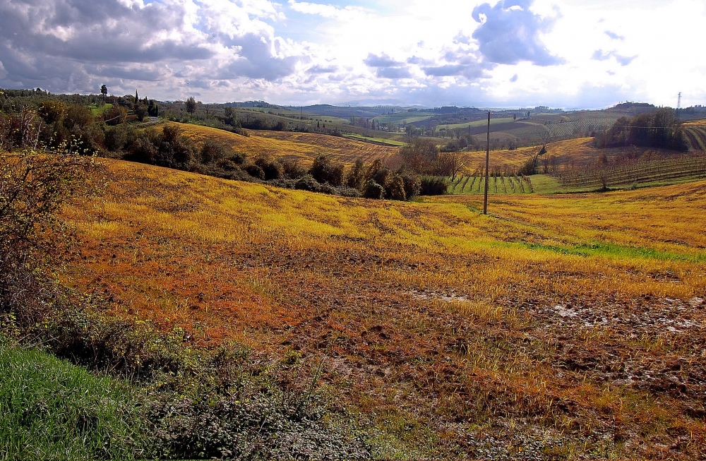 primoautunno primoautunno