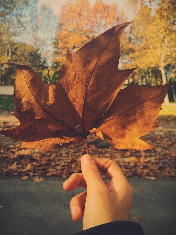 autunno... autunno...