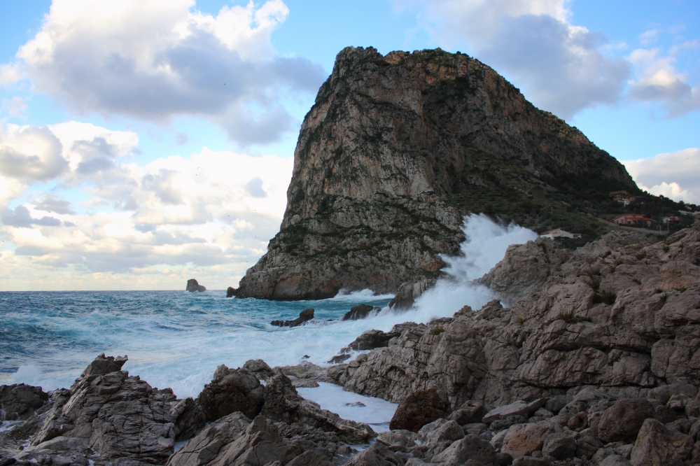 Forze della natura