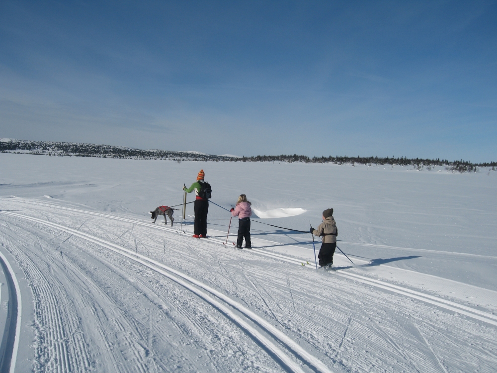 Loipe in Norway