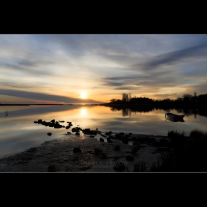 flickr