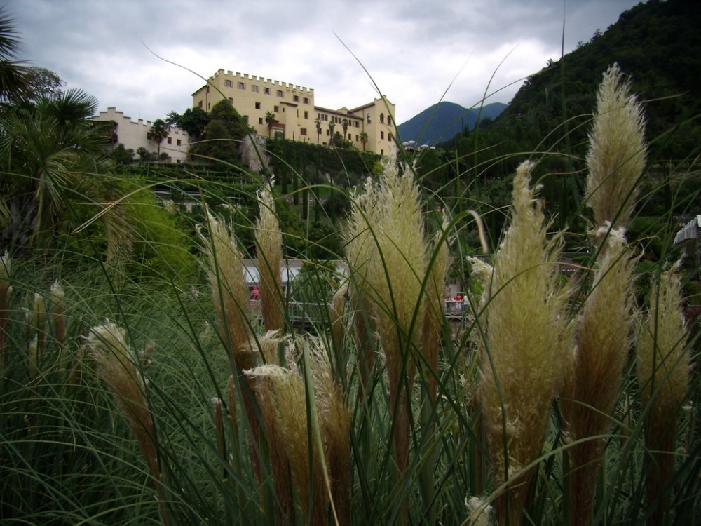 il castello di Trauttmansdorff a Merano il castello di Trauttmansdorff a Merano