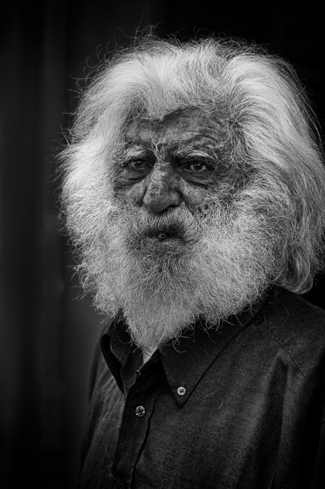 Il vecchio Leone Il vecchio Leone