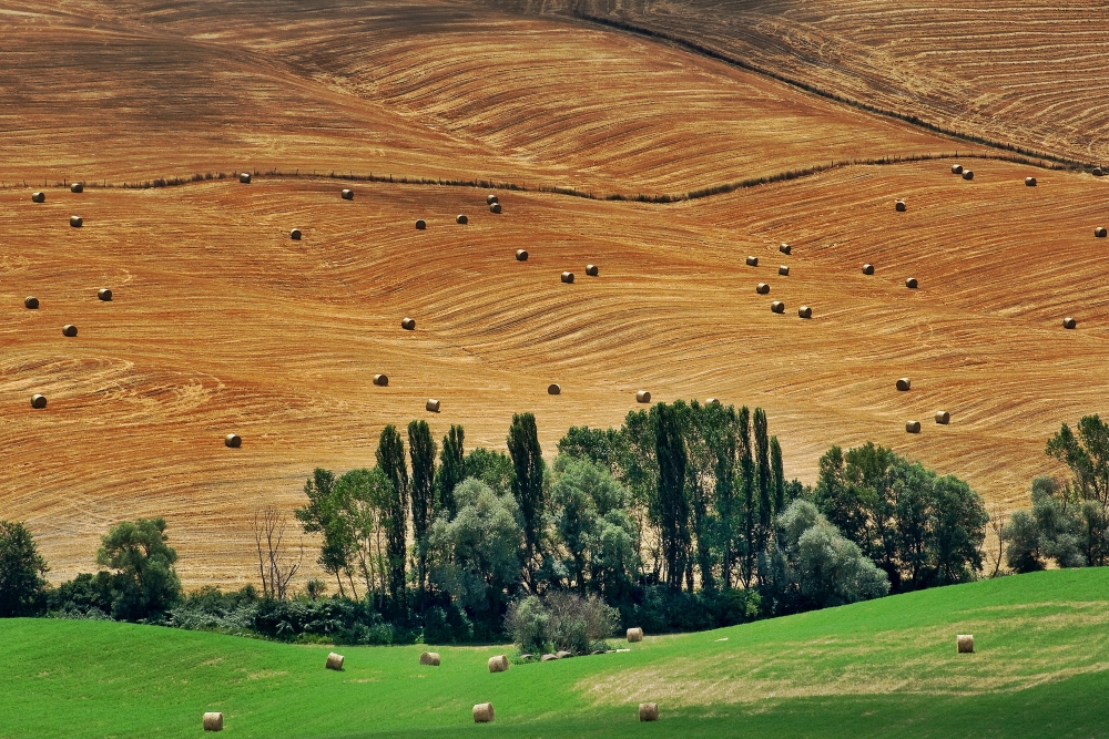 paesaggio senese