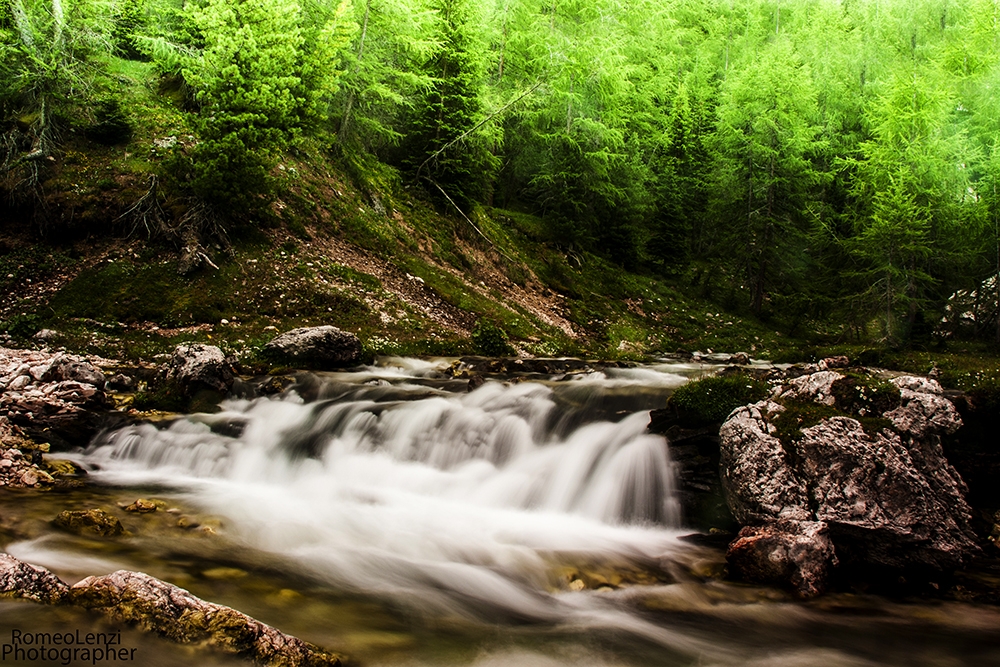 Natura Natura