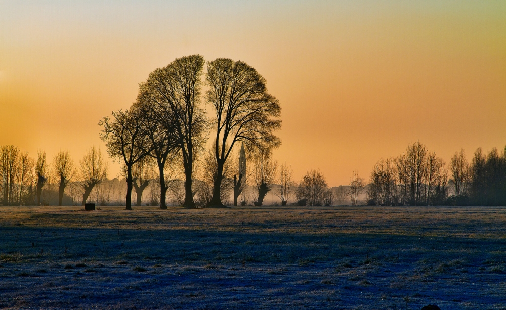fredda alba fredda alba