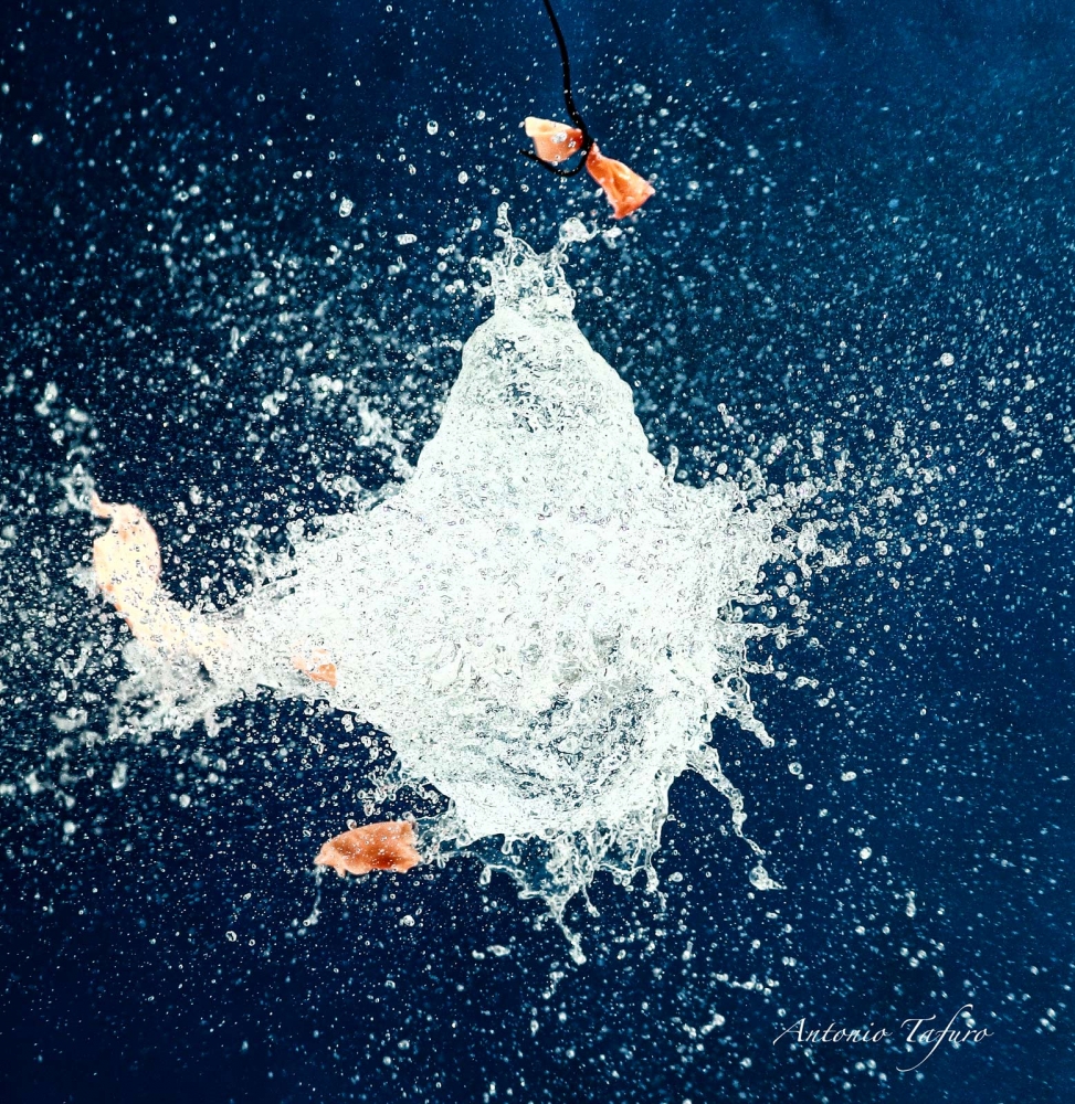 Splash Splash