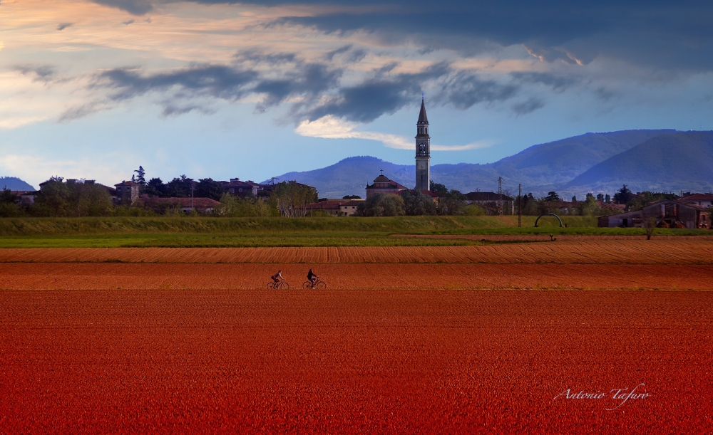 passeggiando in bicicletta…