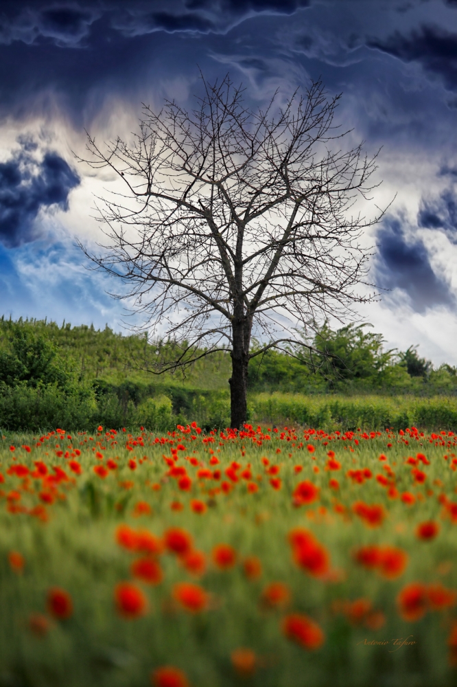 in attesa del temporale