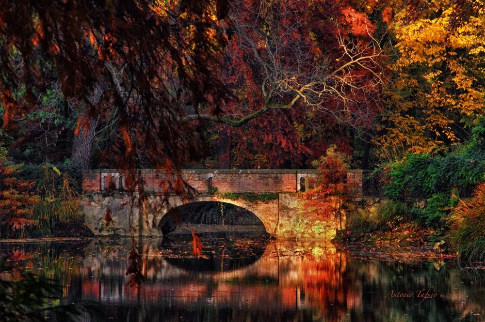 old bridge old bridge