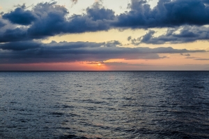 flickr
