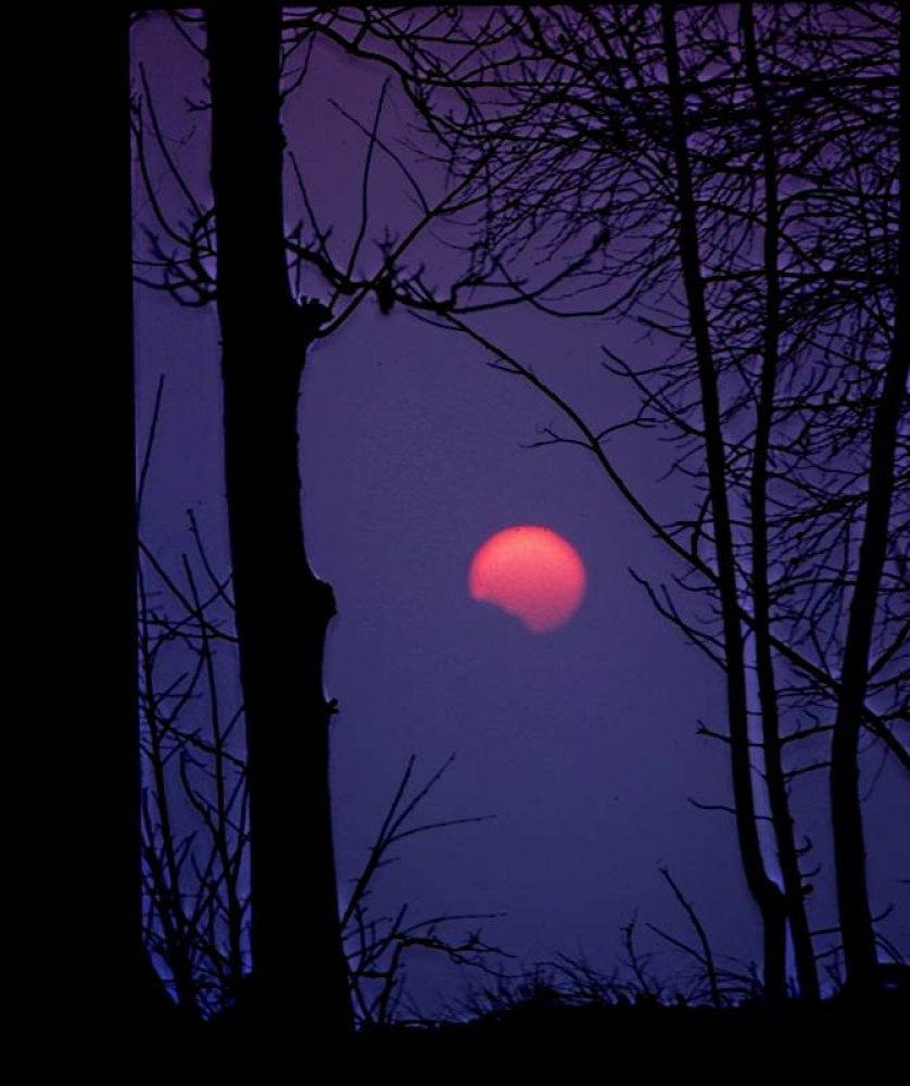 sole rosso in cielo viola