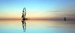 flickr