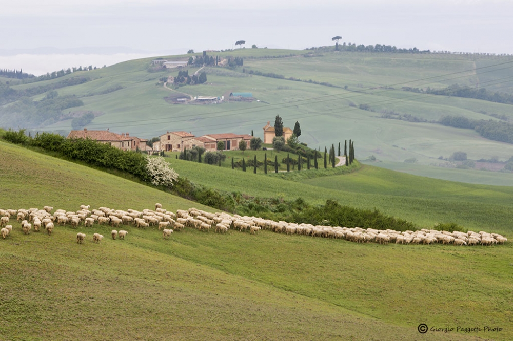 Val D'Orcia Val D'Orcia