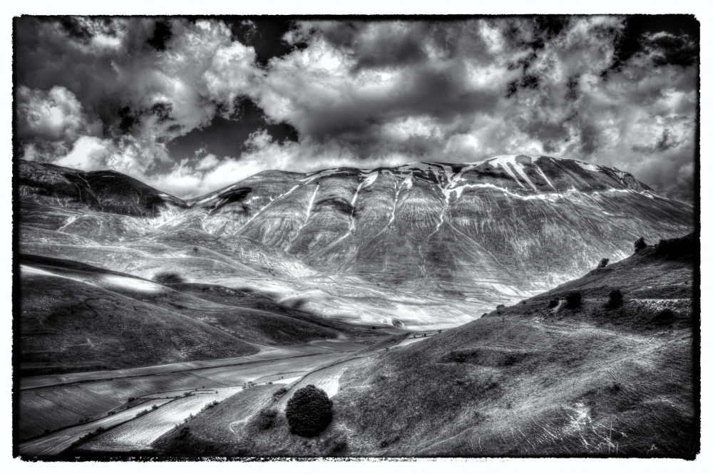 Segni di terra #3 Segni di terra #3