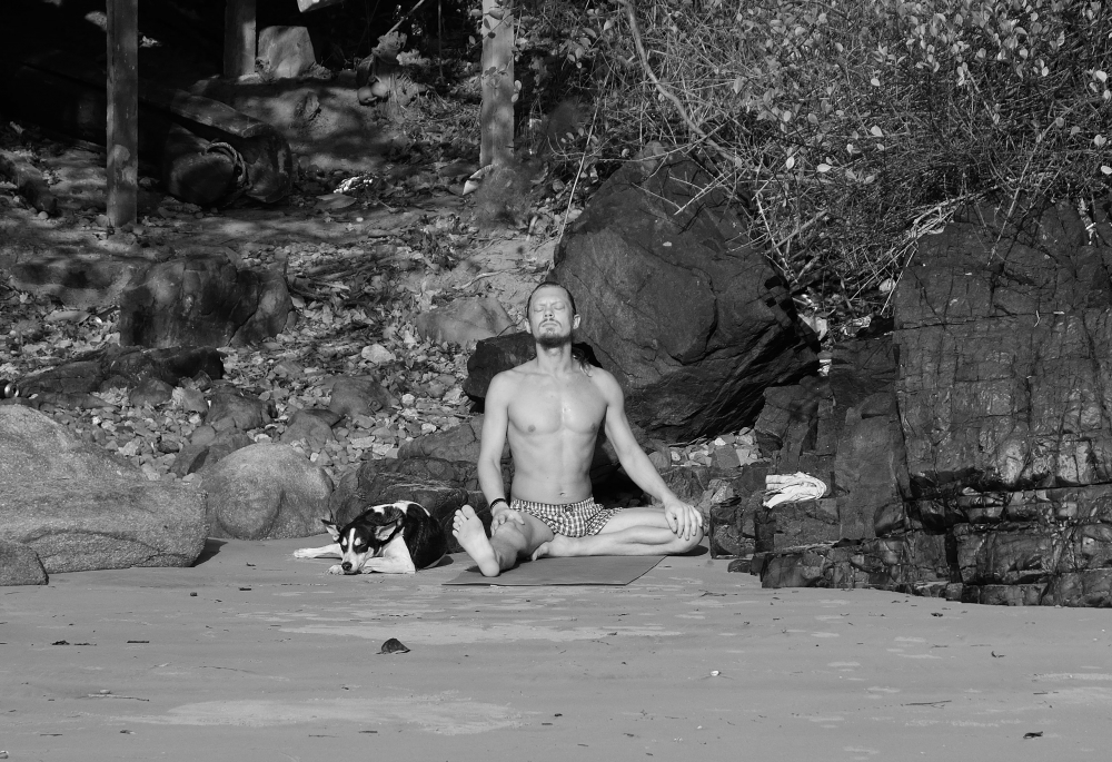 Yogin e cane. Yogin e cane.