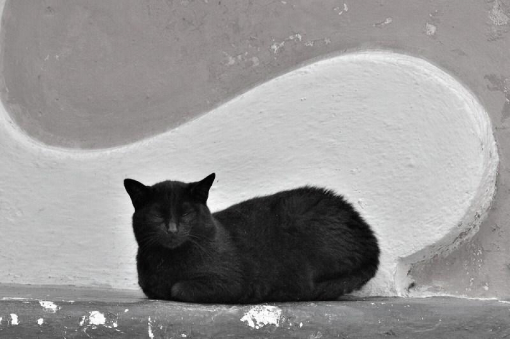Forme uniche.. Forme uniche..