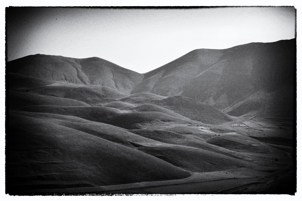 Segni di terra #5 Segni di terra #5