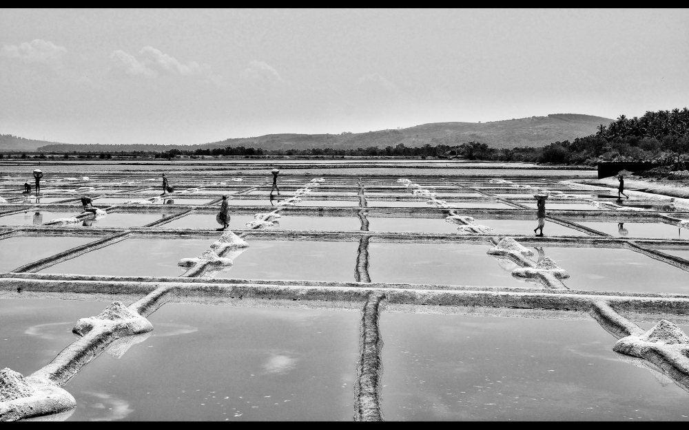 Saline (B/N) Saline (B/N)