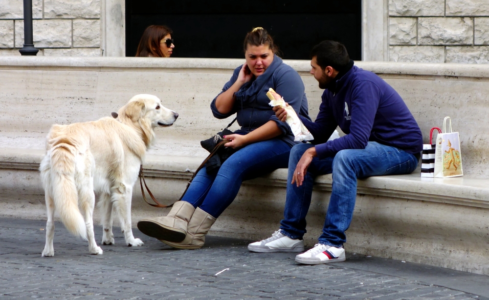 Un panino in tre. Un panino in tre.