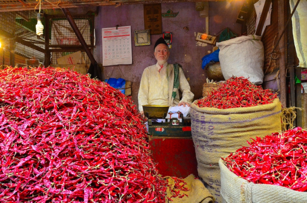 Il Re del chili pepper. Il Re del chili pepper.