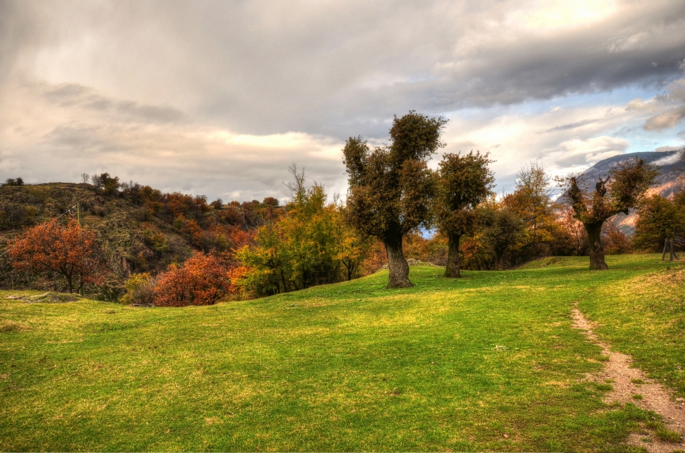 l'autunno e i suoi colori_2