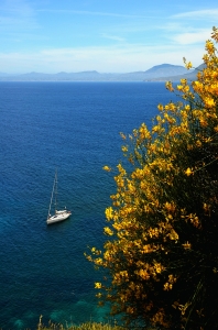 flickr