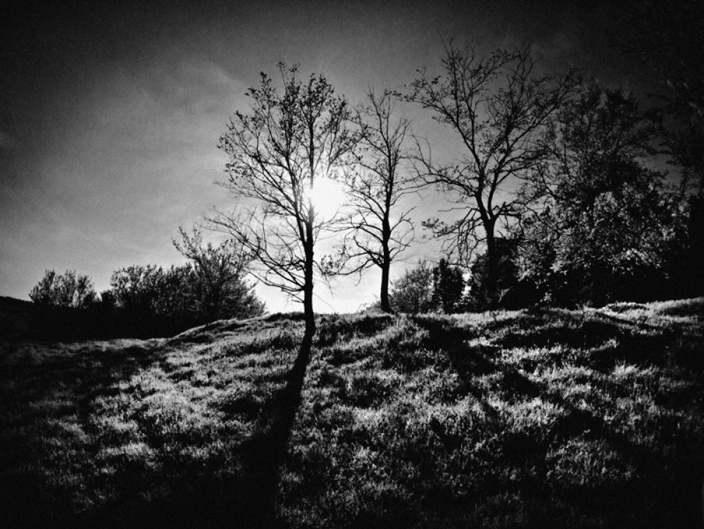 Controluce Controluce
